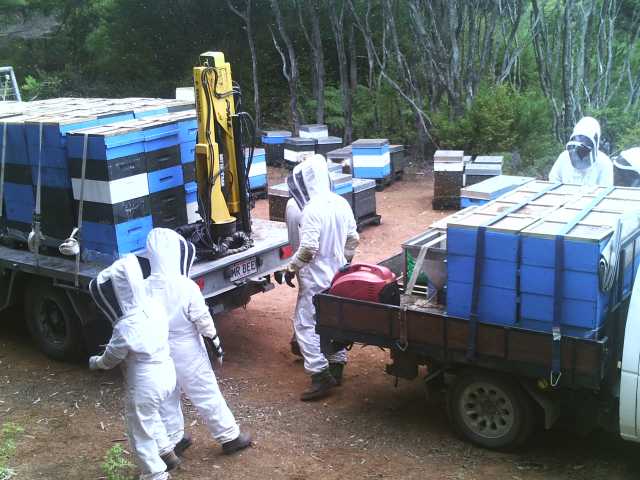 Harvest time is all go!