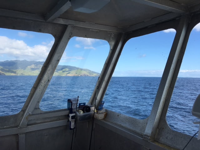 View from the office